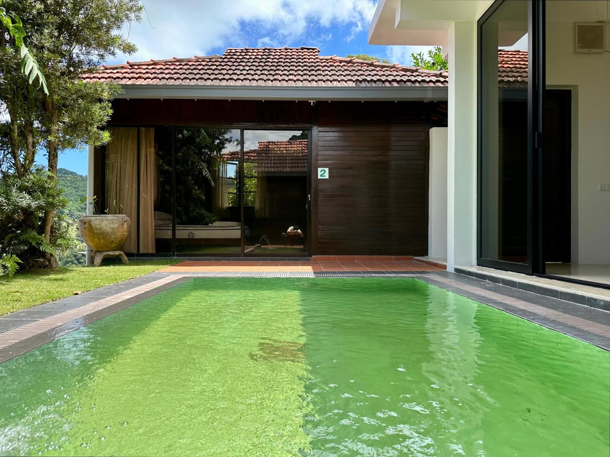 Bao Sheng Durian Farm Villa Balik Pulau Eksteriør billede