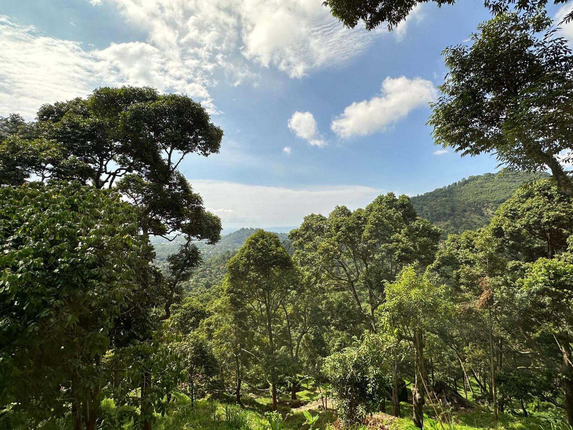 Bao Sheng Durian Farm Villa Balik Pulau Eksteriør billede